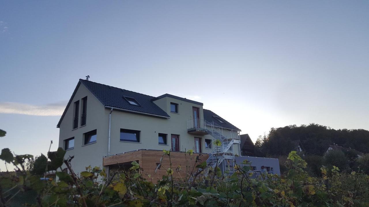 Gaestehaus Casa Luna - Paradiesische Ferienwohnungen Am Kaiserstuhl! Bischoffingen Eksteriør billede