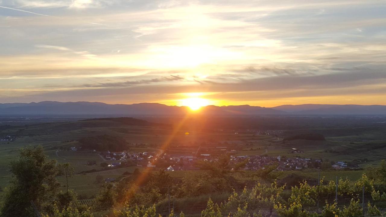 Gaestehaus Casa Luna - Paradiesische Ferienwohnungen Am Kaiserstuhl! Bischoffingen Eksteriør billede