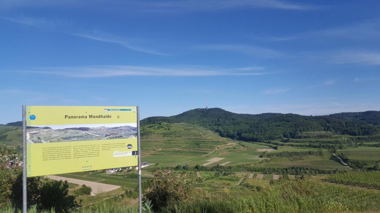 Gaestehaus Casa Luna - Paradiesische Ferienwohnungen Am Kaiserstuhl! Bischoffingen Eksteriør billede
