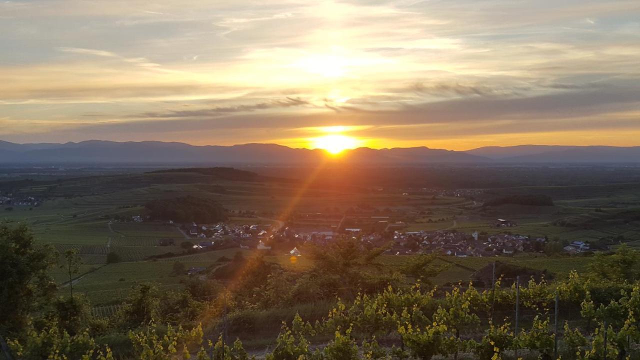 Gaestehaus Casa Luna - Paradiesische Ferienwohnungen Am Kaiserstuhl! Bischoffingen Eksteriør billede