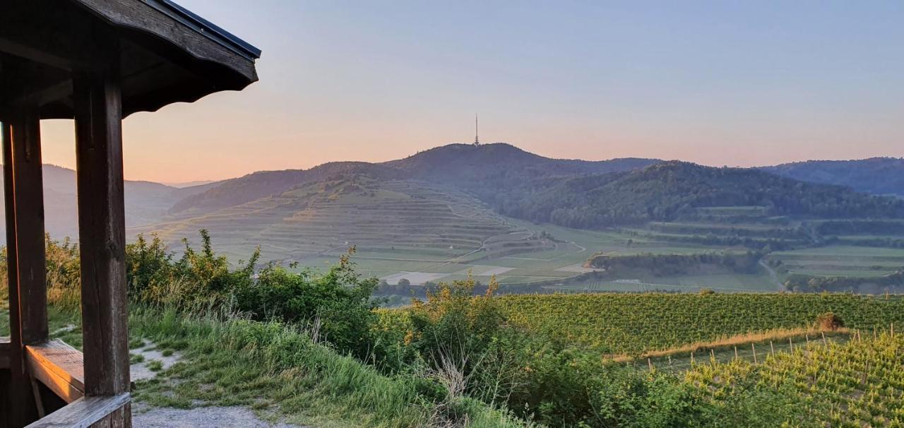 Gaestehaus Casa Luna - Paradiesische Ferienwohnungen Am Kaiserstuhl! Bischoffingen Eksteriør billede
